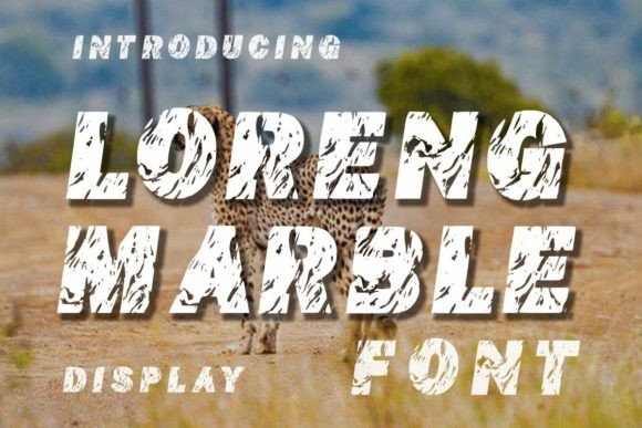 Loreng Marble Font for Elegant Branding and Creative Projects