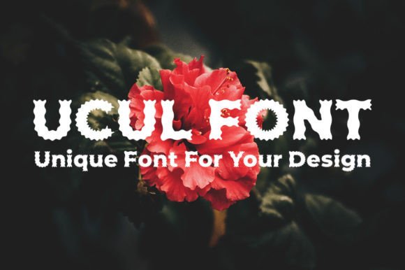 Ucul: A Quirky Display Font for Bold Editorial Design